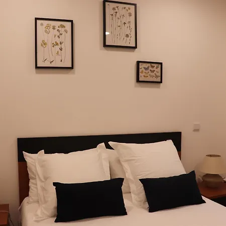 Quinta Da Poipa Сasa de vacaciones Celorico Da Beira