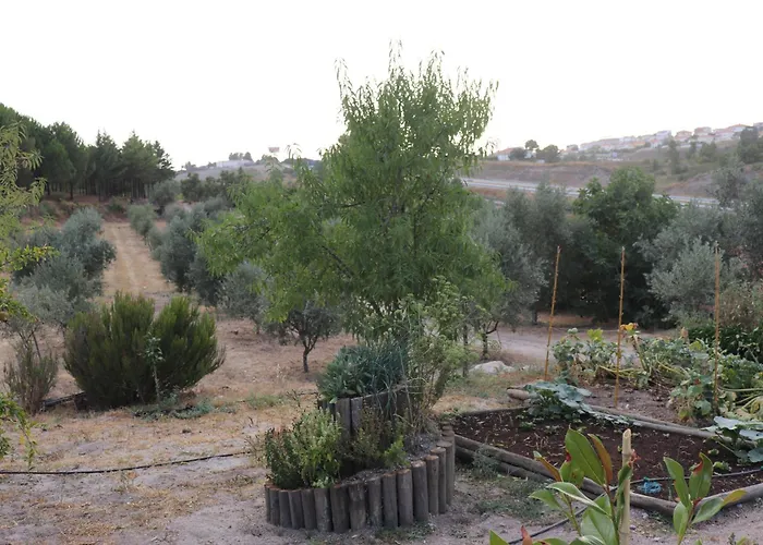 Tatil Evi Quinta Da Poipa *