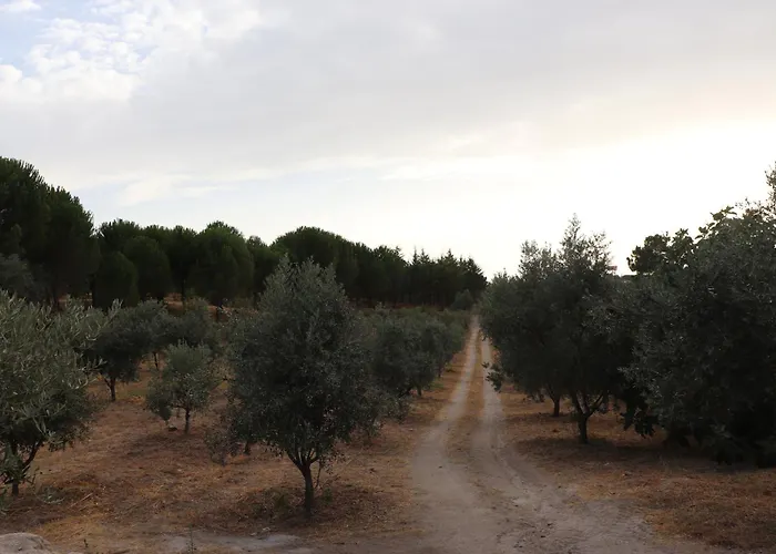 Quinta Da Poipa Tatil Evi *